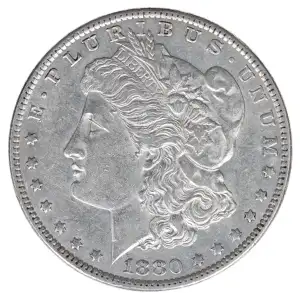 Morgan Silver Dollar (2)