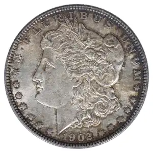 Morgan Silver Dollar