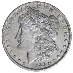 Morgan Silver Dollar (2)