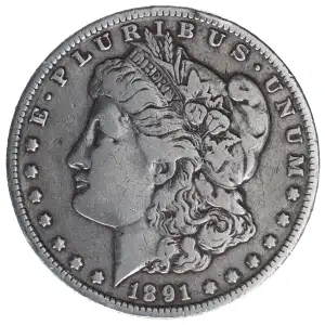 Morgan Silver Dollar (2)