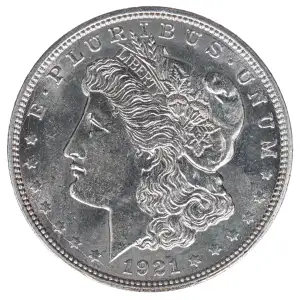 Morgan Silver Dollar (2)