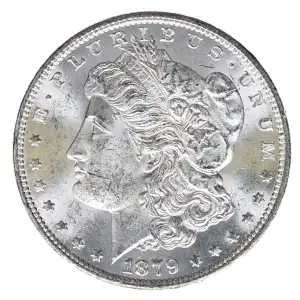 Morgan Silver Dollar (2)