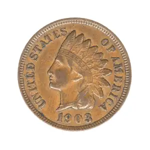 Small Cents-Indian Head 1859-1909 -Copper