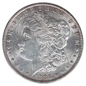 Morgan Silver Dollar (2)