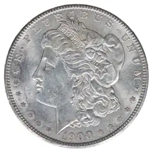 Morgan Silver Dollar (2)