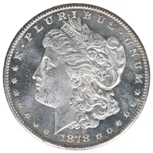 Morgan Silver Dollar (2)