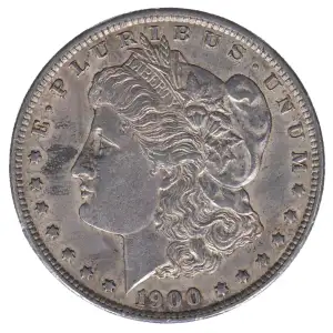 Morgan Silver Dollar (2)