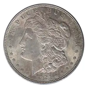 Morgan Silver Dollar (2)
