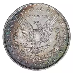 Morgan Silver Dollar (4)