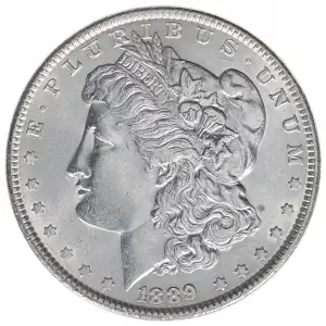 Morgan Silver Dollar