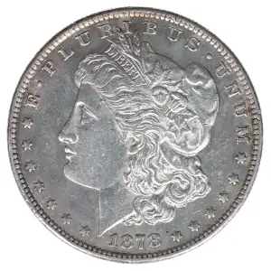 Morgan Silver Dollar (2)