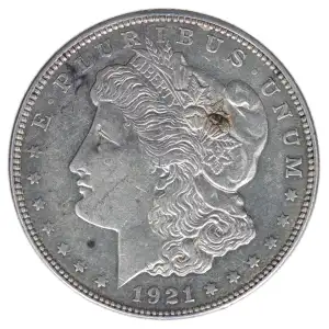 Morgan Silver Dollar (2)