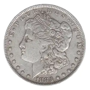 Morgan Silver Dollar (2)