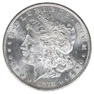 Morgan Silver Dollar (2)