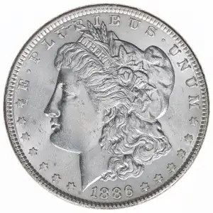 Morgan Silver Dollar