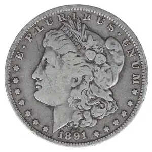 Morgan Silver Dollar (2)