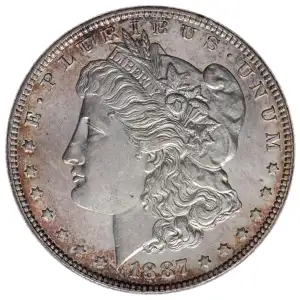 Morgan Silver Dollar (4)