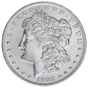Morgan Silver Dollar (2)