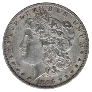 Morgan Silver Dollar (2)