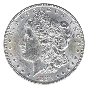 Morgan Silver Dollar