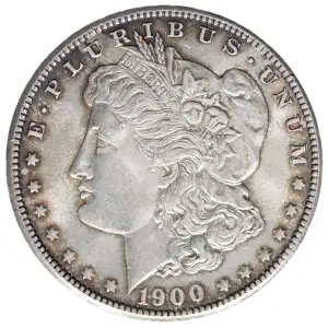 Morgan Silver Dollar (2)