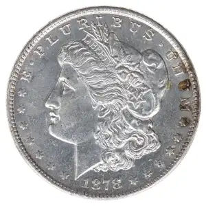 Morgan Silver Dollar (2)