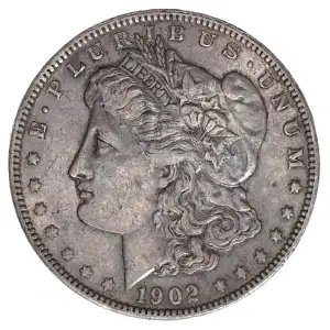 Morgan Silver Dollar (2)