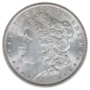 Morgan Silver Dollar (2)