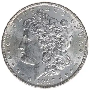 Morgan Silver Dollar (2)