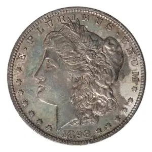 Morgan Silver Dollar