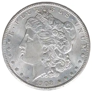 Morgan Silver Dollar (2)