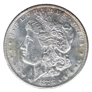 Morgan Silver Dollar (2)