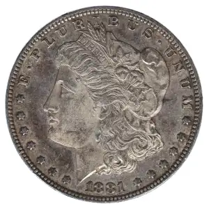 Morgan Silver Dollar (2)