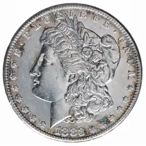 Morgan Silver Dollar (2)