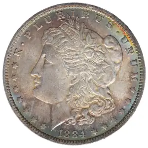 Morgan Silver Dollar (2)
