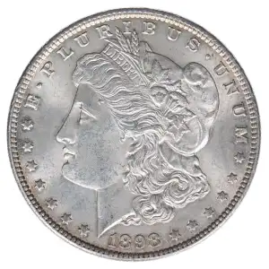 Morgan Silver Dollar (2)