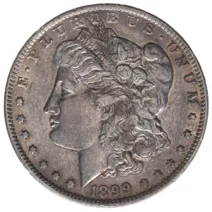 Morgan Silver Dollar