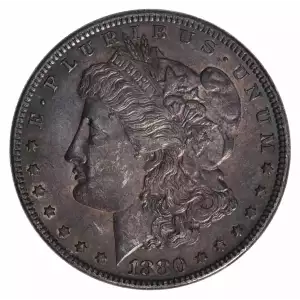 Morgan Silver Dollar