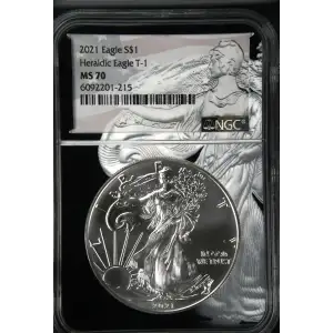 2021 Heraldic Eagle T-1 (2)